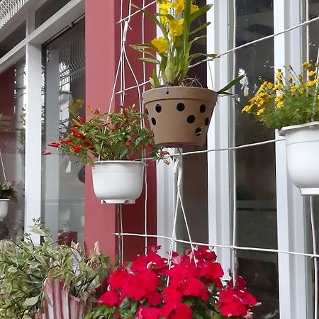 Homstay Thanh Son Chi Khu Co Ong Екстериор снимка