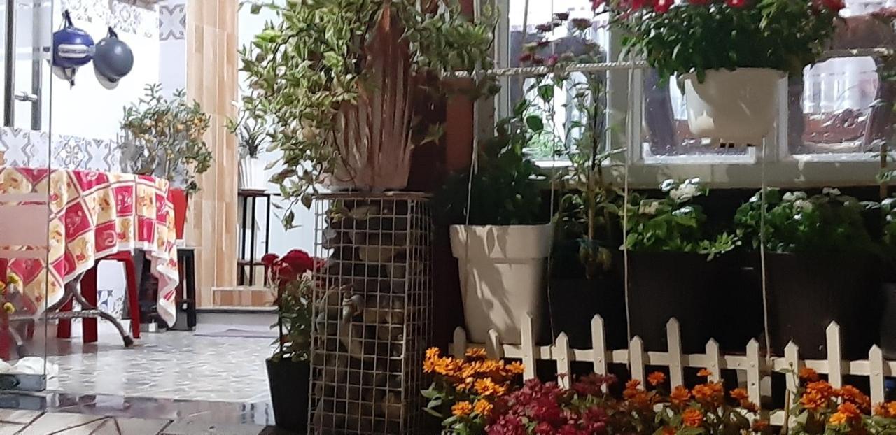 Homstay Thanh Son Chi Khu Co Ong Екстериор снимка